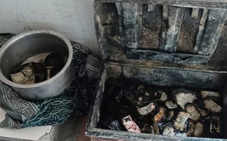 पिंपळे गुरव मध्ये बिगारी कामगाराच्या झोपडीला आग, ५ लाख ७० हजारांची रोकड जळून खाक