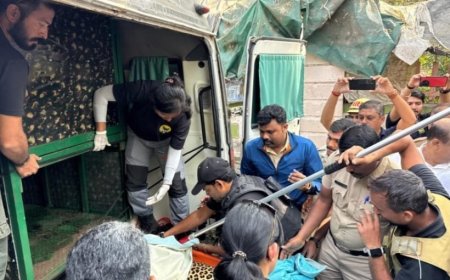 प्राधिकरण परिसरात शिरलेल्या बिबट्याला जेरबंद करण्यात रेस्क्यू टीमला यश