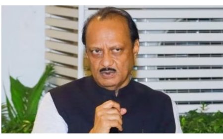 पुण्यापेक्षा पिंपरी-चिंचवडची लाेकसंख्या वाढणार.