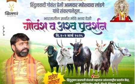 पिंपरी-चिंचवडमध्ये भारतातील सर्वात मोठे देशी गोवंश अन् अश्व प्रदर्शन...