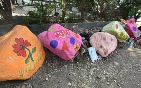 भोसरीतील गुडविल चौकात महापालिकेने जपली स्वच्छतेबरोबर सुंदरता..!