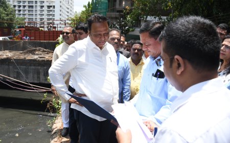 मुंबई उपनगर पालकमंत्री ऍड. आशिष शेलार कामाबाबत असमाधानी