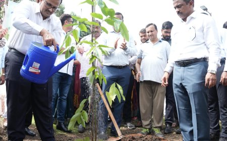 पनवेल महापालिका कार्यक्षेत्रात वृक्षारोपण कार्यक्रम उत्साहात