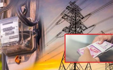 भोसरीतील महावितरणच्या सहाय्यक अभियंत्याला व खाजगी इसमाला रू. २५,००० लाचेप्रकरणी रंगेहाथ अटक....