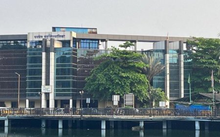 पनवेल महानगरपालिकेचा हरित उपक्रम : वृक्षारोपणासाठी नागरिकांना मोफत रोपांची सुविधा