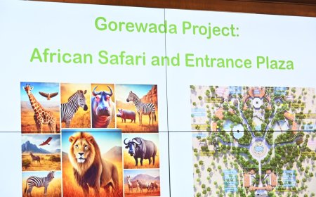 नागपूरच्या गोरेवाडा प्राणी संग्रहालयात लवकरच अनुभवता येणार 'आफ्रिकन सफारी'