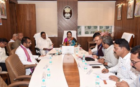 ऊसतोड कामगार कायद्याची प्रक्रिया गतीने पूर्ण करा -  उपसभापती डॉ. नीलम गोऱ्हे