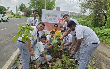 खारघर येथे पनवेल महानगरपालिका, उद्यान विभागामार्फत वृक्षारोपण