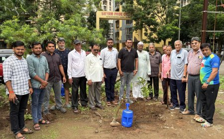 महानगरपालिका प्रभाग समिती ब कळंबोली अंतर्गत,रोडपाली येथे, उद्यान विभागामार्फत वृक्षारोपण
