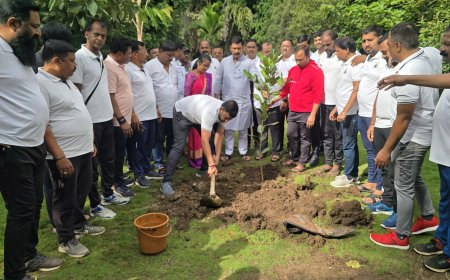 अजितदादा पवार यांच्या वाढदिवसानिमित्त पिंपरी चिंचवड शहरात विविध ठिकाणी वृक्षारोपण