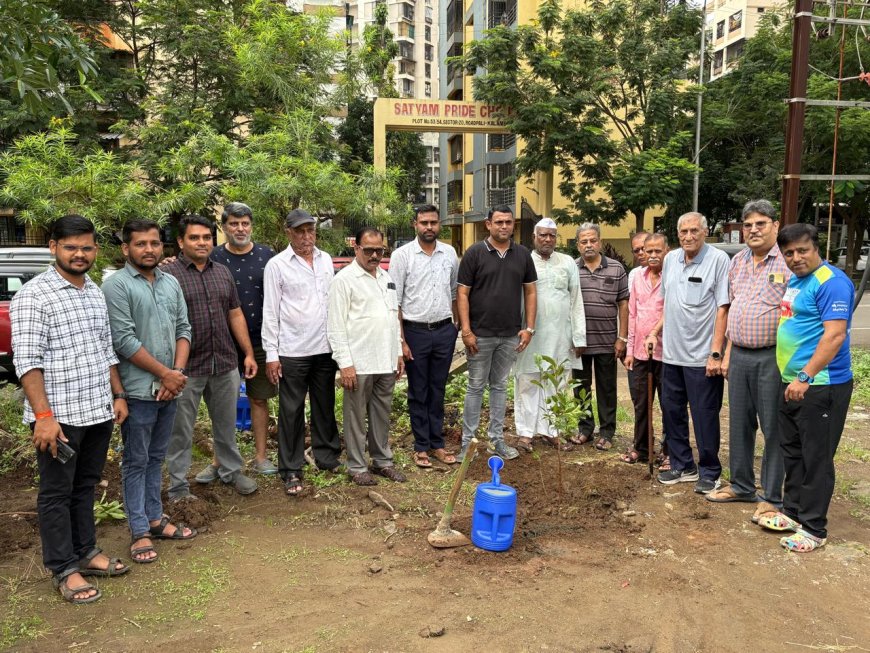 महानगरपालिका प्रभाग समिती ब कळंबोली अंतर्गत,रोडपाली येथे, उद्यान विभागामार्फत वृक्षारोपण