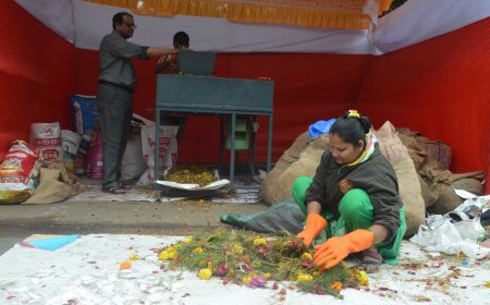 'दगडूशेठ' गणपतीच्या दररोजच्या १ टन निर्माल्यापासून मिळते  ३०० किलो खत