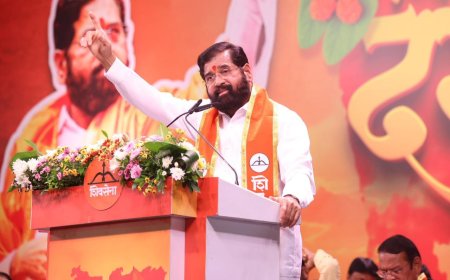 बाळासाहेबांचे जन्मशताब्दी वर्ष शताब्दी महोत्सव म्हणून साजरे करणार