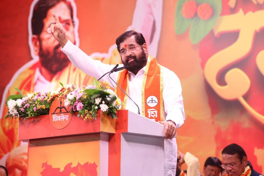 बाळासाहेबांचे जन्मशताब्दी वर्ष शताब्दी महोत्सव म्हणून साजरे करणार