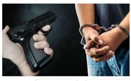 बेकायदा पिस्तूल बाळगल्याप्रकरणी थेरगावमध्ये तरूणाला अटक; खंडणीविरोधी पथकाची कारवाई...