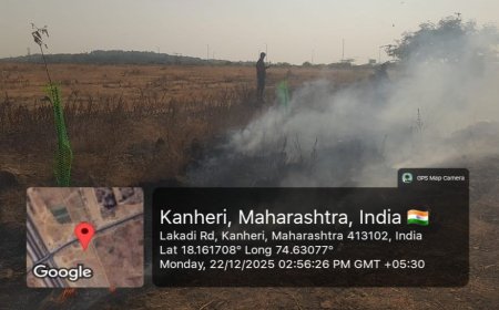 बारामती ते लाकडी महामार्गावर पर्यावरणावर आघात! वन विभागाकडूनच रस्त्यालगतच्या झाडांना आग