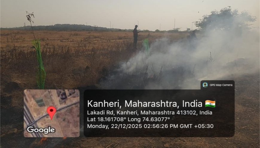 बारामती ते लाकडी महामार्गावर पर्यावरणावर आघात! वन विभागाकडूनच रस्त्यालगतच्या झाडांना आग