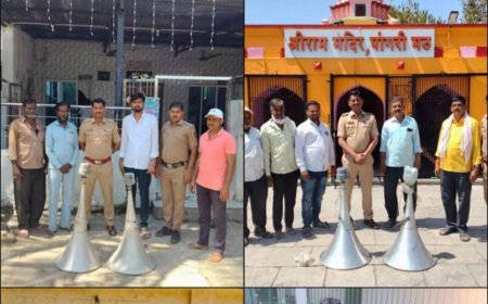 सोलापूर ग्रामीण पोलिसांची मोठी कारवाई : मंदिर-मशिदींवरील ९३८ अनधिकृत भोंगे हटवले