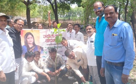 रणसम्राट सामाजिक संस्थेच्या वतीने खासदार ज्योतीताई वाघमारे यांच्या वाढदिवसानिमित्त वृक्षारोपण