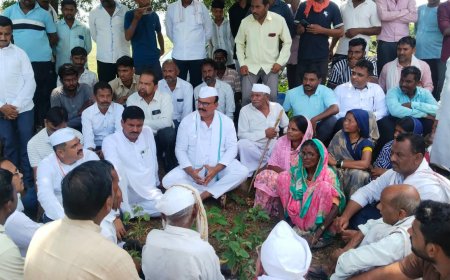 शेतकऱ्यांना हेक्टरी एक लाखांची मदत द्या