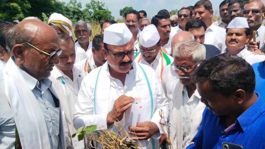 शेतकऱ्यांना हेक्टरी एक लाखांची मदत द्या