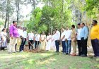 इचलकरंजीत सेवा संकल्प अभियानांतर्गत वृक्षारोपण