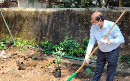 ठाणे जिल्ह्यात महा श्रमदान दिन उत्साहात