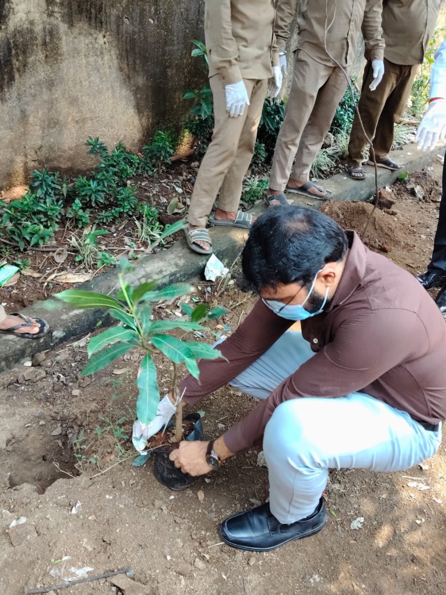 ठाणे जिल्ह्यात महा श्रमदान दिन उत्साहात
